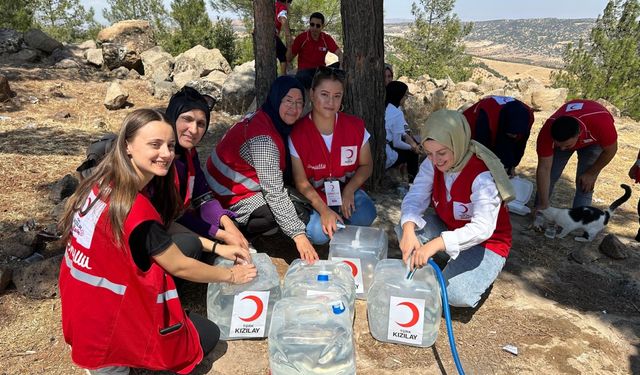 Kilis'te orman yangınlarına "bidonlu" önlem