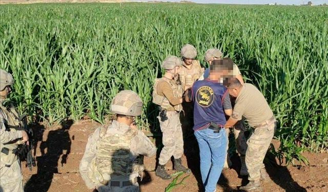 Mardin'de firari 2 hükümlü yakalandı