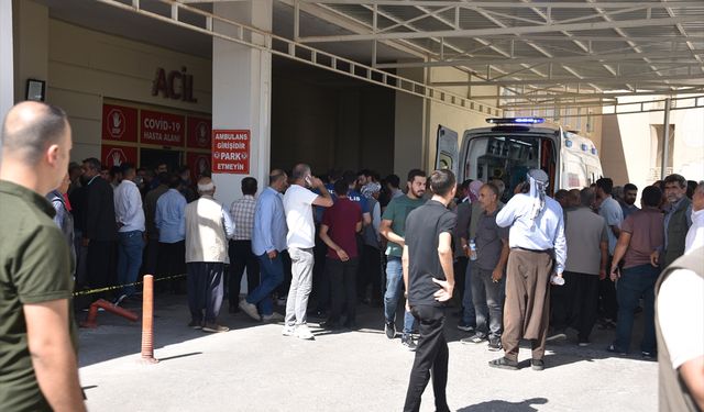 Şanlıurfa'da 3 kişinin öldüğü kavgaya ilişkin 19 zanlı yakalandı