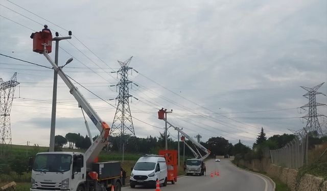 SEDAŞ, leyleklerin güvenli yolculuğu için Kocaeli'de harekete geçti