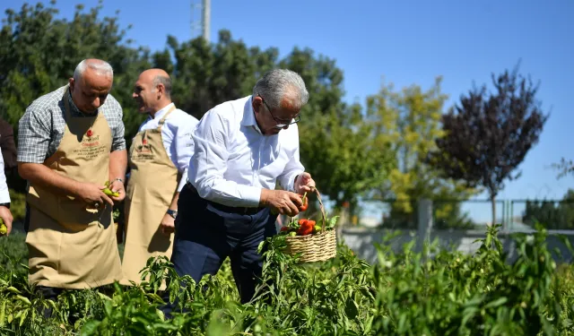 Başkan Büyükkılıç, organik ürünleri elleriyle topladı, yemek pişirdi