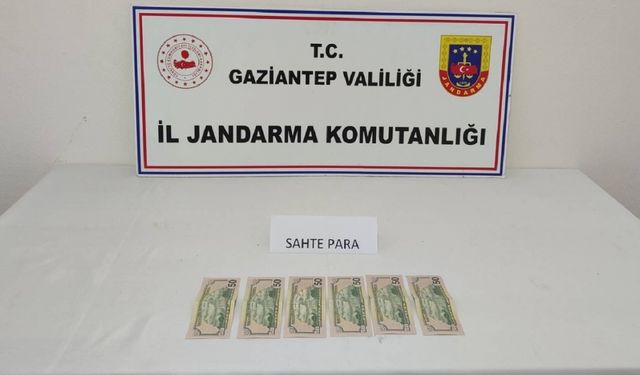 Gaziantep'te piyasaya sahte dolar sürmek isteyen şüpheli yakalandı