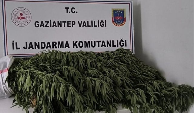 Gaziantep'te uyuşturucu operasyonunda 8 zanlı yakalandı