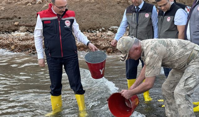 Siirt'te baraj göllerine 1 milyon sazan yavrusu bırakıldı