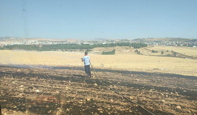 Siirt'te çıkan anız yangını söndürüldü