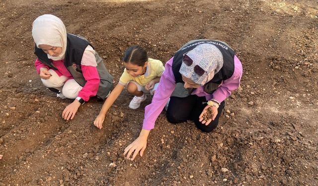 Siirt'te salep üretimi için deneme alanı kuruldu