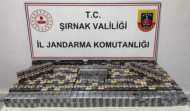 Şırnak'ta kaçakçılık operasyonlarında 16 şüpheli yakalandı