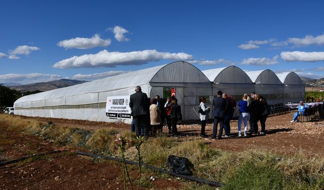 Adıyaman'da kadın girişimciler kooperatif kurarak tarımsal üretime başladı