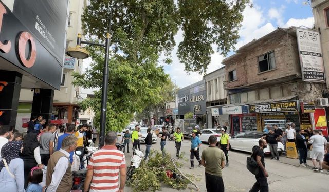 Adıyaman'da rüzgarın kırdığı dalın altında kalan motosikletteki sürücü yaralandı