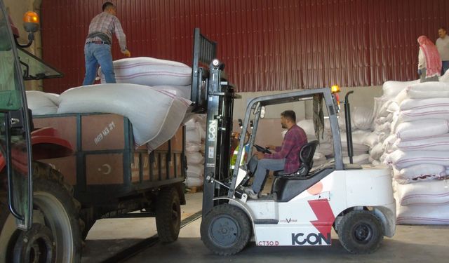 Gaziantep'te belediyeler üreticiye destek için biber alımına başladı