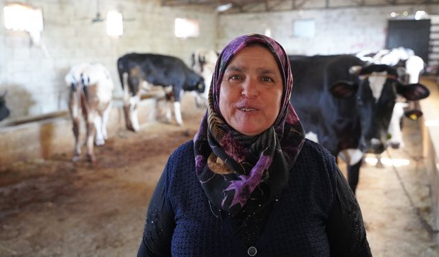 Maddi imkanı iyi olmayan aileler hayvan destekleriyle yetiştirici oldu