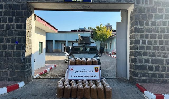 Şanlıurfa'da 240 kilogram kaçak tütün ele geçirildi