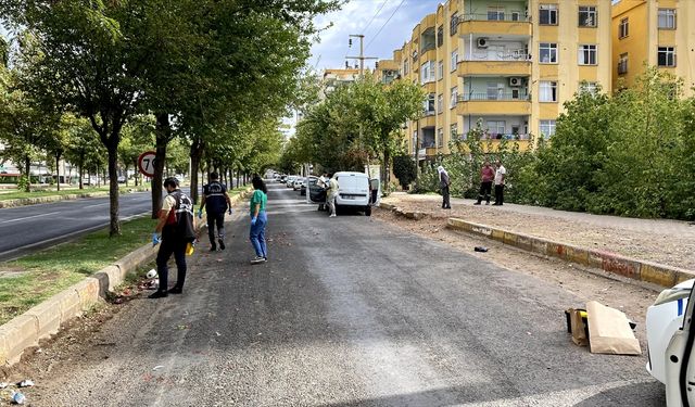 Şanlıurfa'da hafif ticari aracın çarptığı yaya öldü