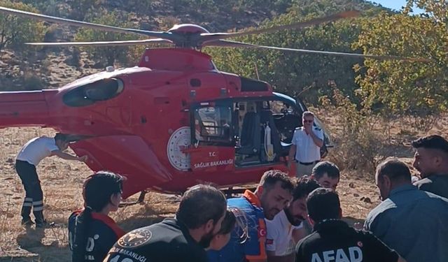 Siirt'te ambulans helikopter, ağaçtan düşen kişi için havalandı