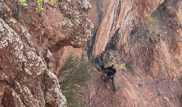 Siirt'te hayvan otlatırken kayalıkta mahsur kalan çoban kurtarıldı