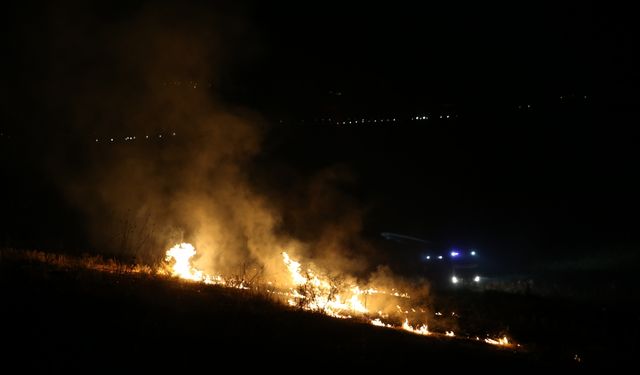 Siirt'te Kezer Çayı bölgesinde çıkan anız yangınına müdahale ediliyor