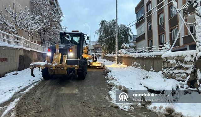 Elazığ, Batman, Şırnak, Siirt ve Bingöl'de 163 Yerleşim Yerine Ulaşım Sağlanamıyor