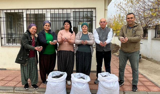 Gaziantep'te şehit askerler anısına dikilen ağaç meyvelerinden elde edilen gelir ihtiyaçları karşılayacak