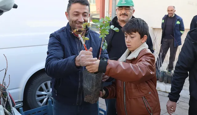 Konya'nın 3 ilçesinde üreticiye Antep Fıstığı desteği