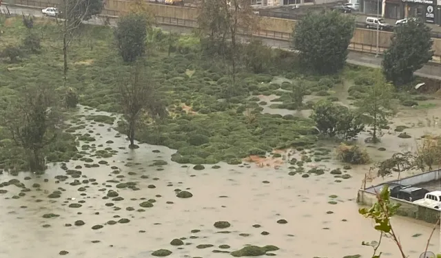 Rize Çayeli'nde heyelan! CHP: Bu tür afetler kader değil, basiretsizliktir!