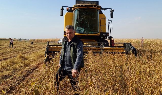 Şanlıurfa'da soya fasulyesi hasadı yapıldı