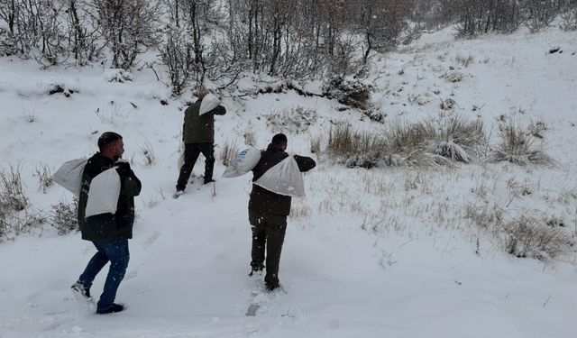 Siirt'te yaban hayvanları için doğaya yem bırakıldı