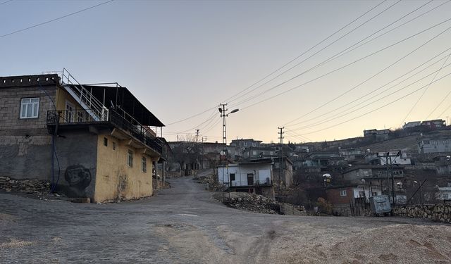 Adıyaman'da bir köy kuduz nedeniyle karantinaya alındı