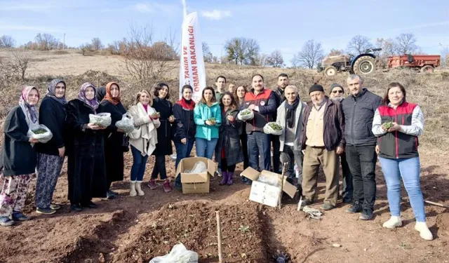 Bursa'da salepe kadın eli değdi