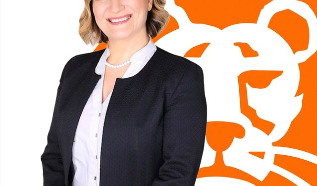 ING Türkiye'de üst düzey atama