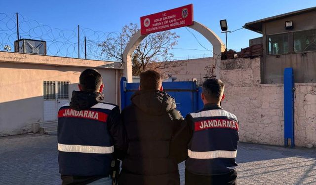 Mardin'de firari hükümlü yakalandı