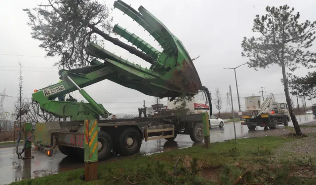 Sakarya Büyükşehir'den 'yeşil' hassasiyet