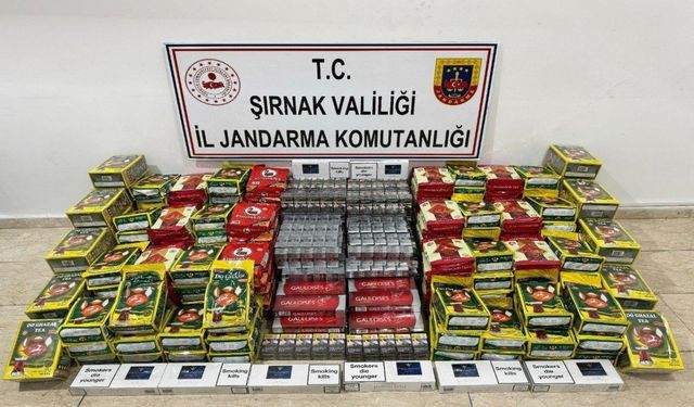 Şırnak'ta kaçakçılık operasyonlarında 1 şüpheli tutuklandı