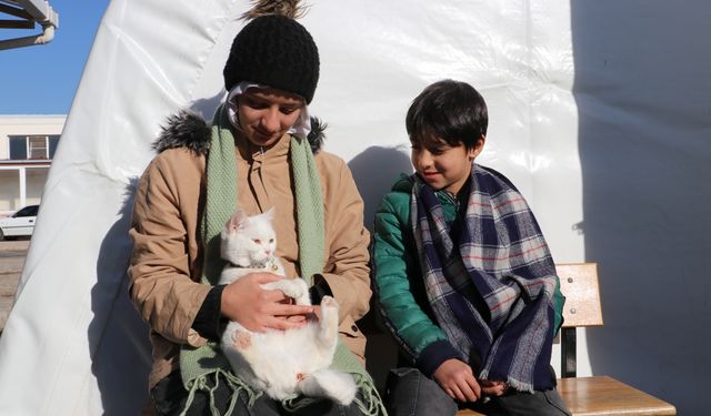 Suriyeli Munteha Türkiye'de sahiplendiği kedisini de ülkesine götürdü