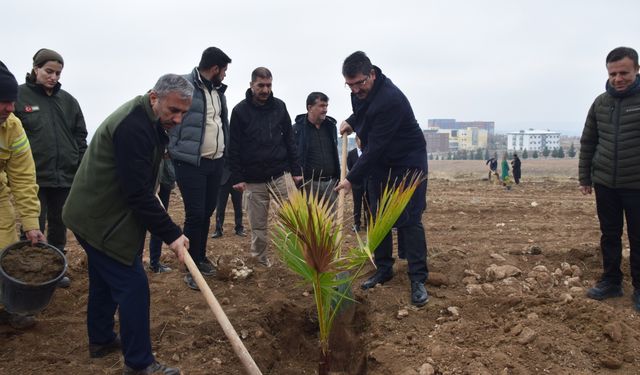 AK Parti Batman Milletvekili Nasıroğlu fidan dikim etkinliğine katıldı