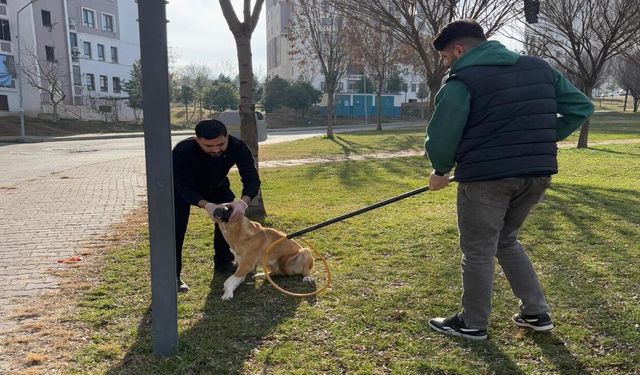 Batman'da Patili Dostlar Unutulmuyor