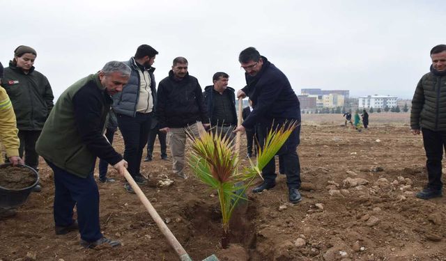 Milletvekili Nasıroğlu, Fidan Dikim Etkinliğine Katıldı