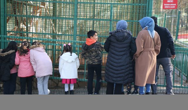 Gaziantep Hayvanat Bahçesi yılın ilk günü ziyaretçileri ağırladı