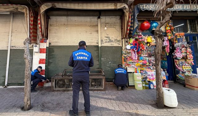 Gaziantep'te bozuk et ve et ürünleri satan iki iş yerine kapatma cezası