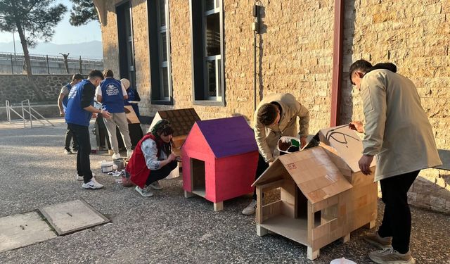 Gaziantep'te meslek lisesi öğrencileri sokak hayvanları için kulübe yaptı