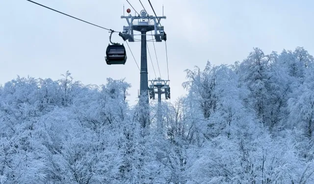 Karnesini getirene Kartepe Teleferiği yüzde 50 indirimli