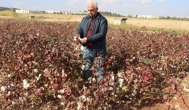 Şanlıurfa'da yenileyici tarımın yaygınlaştırılması hedefleniyor