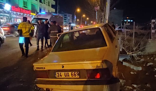 Şanlıurfa'da aydınlatma direğine çarpan otomobildeki 2 kişi yaralandı