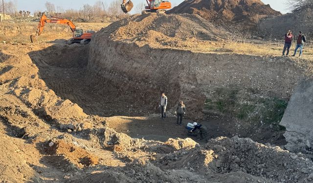 Şanlıurfa'da derede mahsur kalan yaklaşık 500 kaplumbağa bakımlarının ardından doğaya bırakıldı