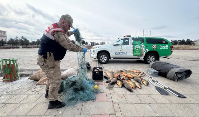 Şanlıurfa'da kaçak balık avlayan kişiye 221 bin 540 lira ceza
