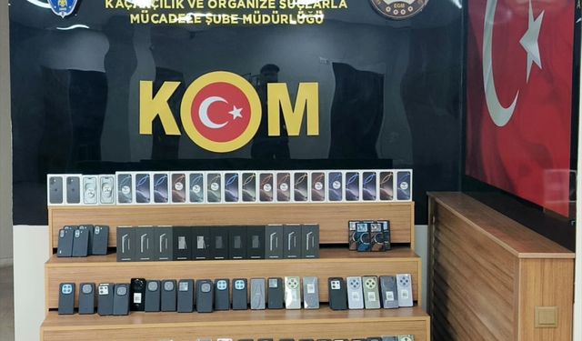 Şanlıurfa'da kaçakçılık operasyonunda 2 zanlı tutuklandı