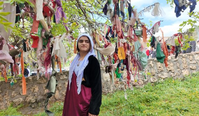 Şırnak'ta Ezidiler "Kırmızı Çarşamba Bayramı"nı kutladı