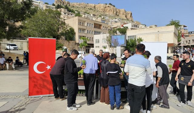 Mardin Büyükşehir Belediyesi üretilen 60 bin fesleğeni resmi kurumlara ve vatandaşlara dağıttı