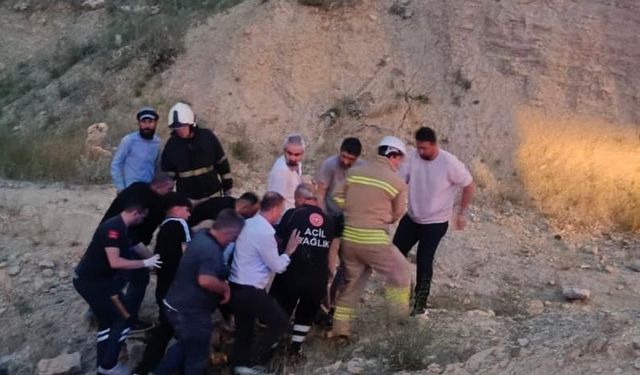 Mardin'de devrilen otomobilin sürücüsü yaralandı
