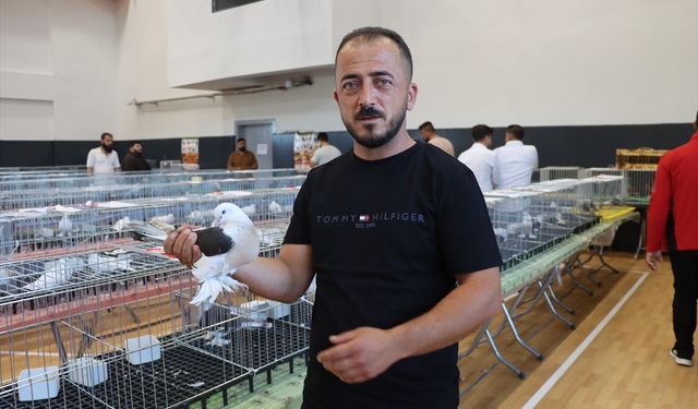 Midyat'ta "Midyat-Musul Güvercin Festivali" düzenlendi