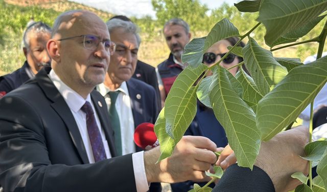 TBMM Zirai Don Olayını Araştırma Komisyonu üyeleri, Adıyaman'daki bahçelerde incelemelerde bulundu